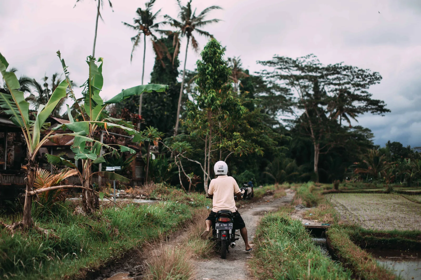Canggu i februar: dating for danske nomader mellem scooterture og rice fields